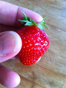 fresh strawberry